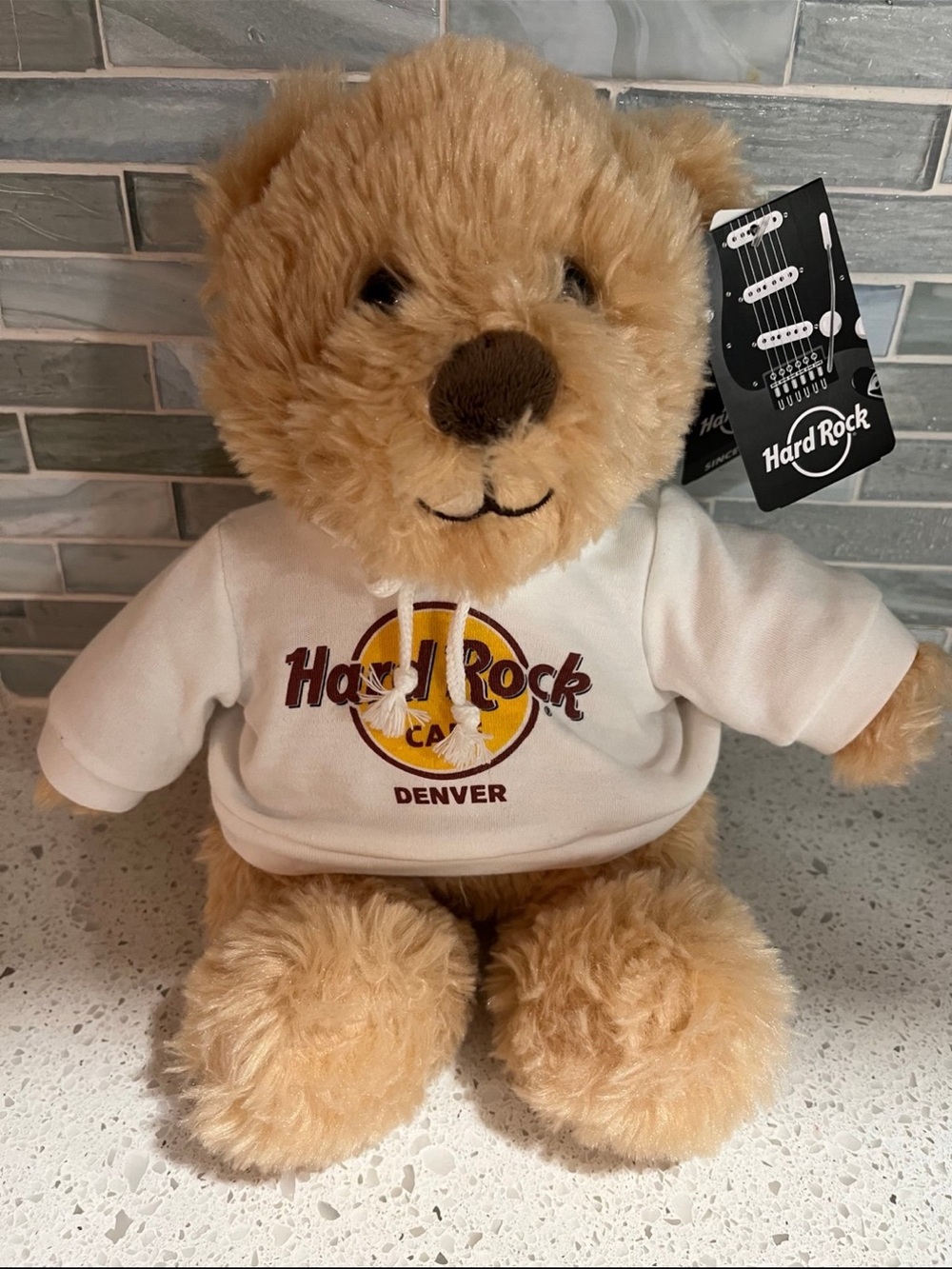 Hard Rock Cafe Denver Teddy Bear Plush with Hoodie